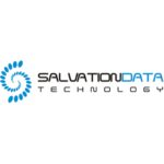 logo salvo