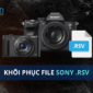 file-RSV